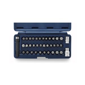 Juego de Puntas Bremen Torx Allen Ribe 5331